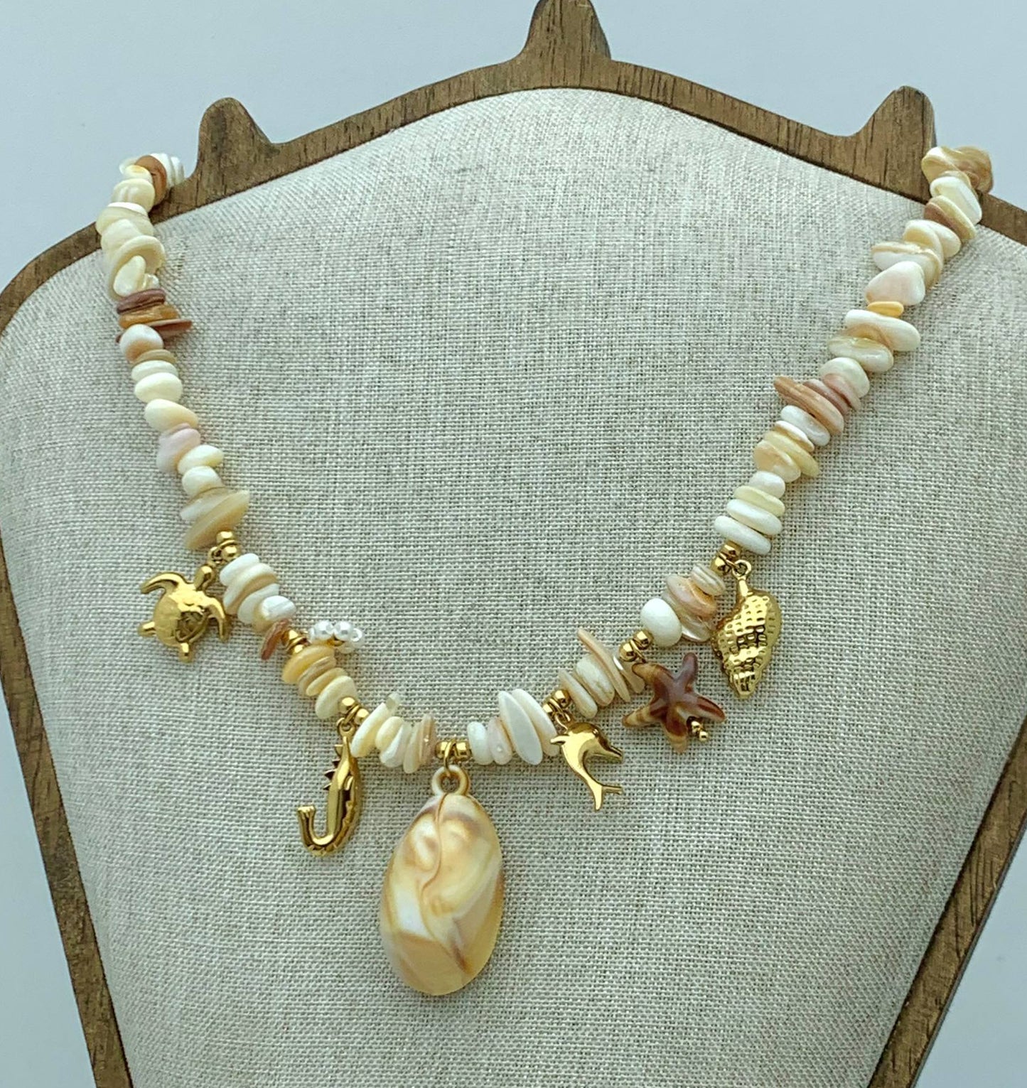 STONES & SHELLS