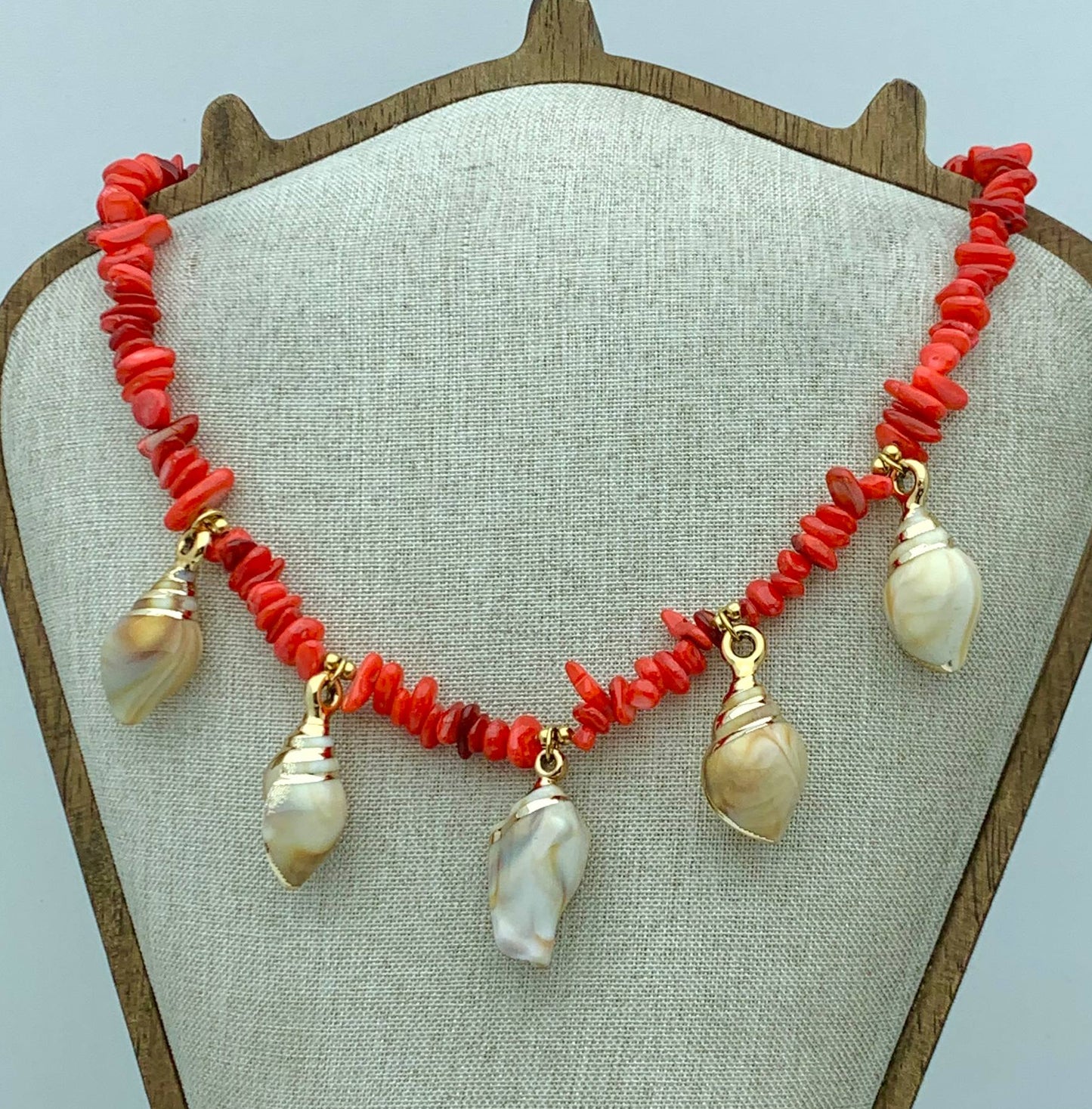 STONES & SHELLS