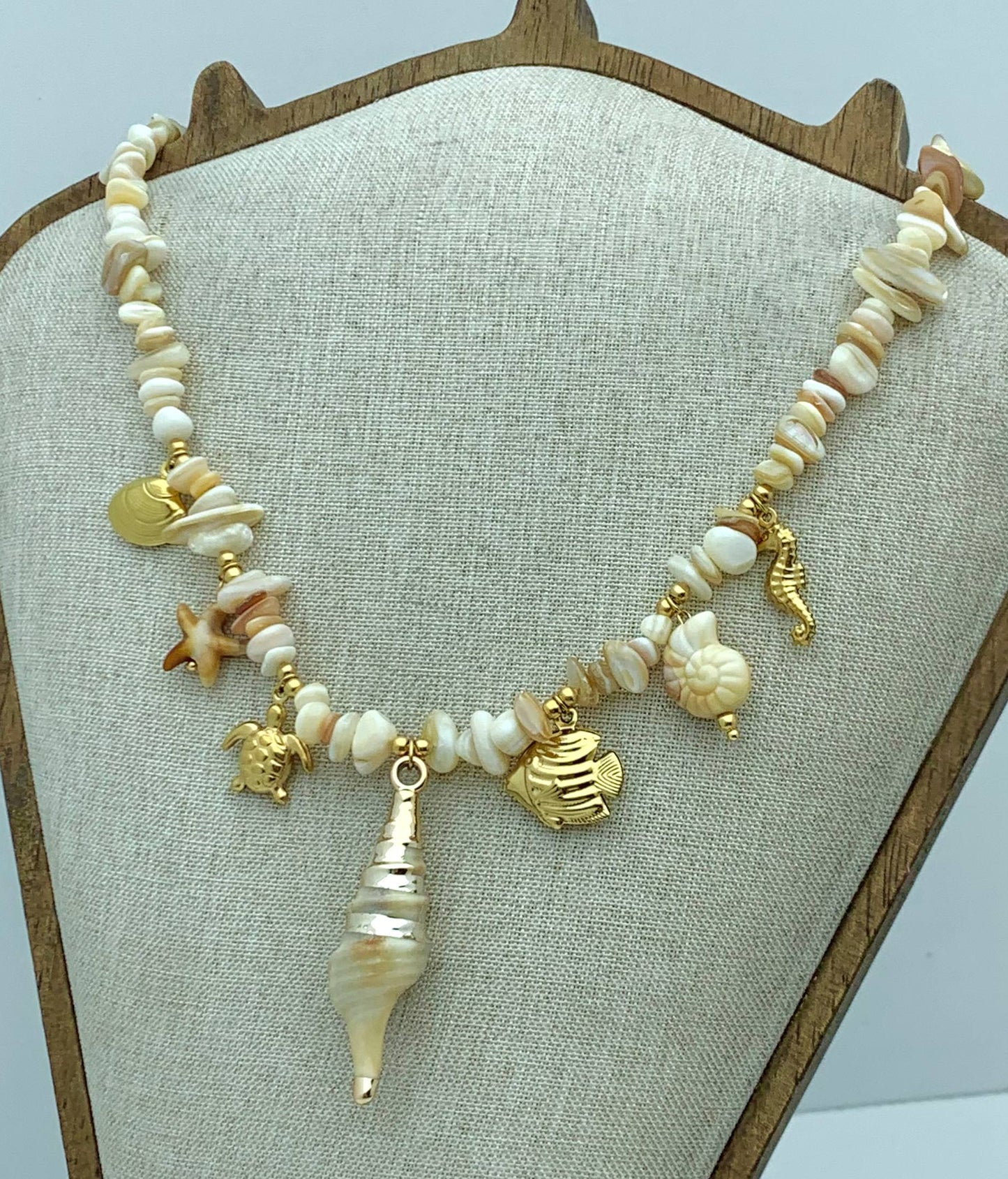 STONES & SHELLS