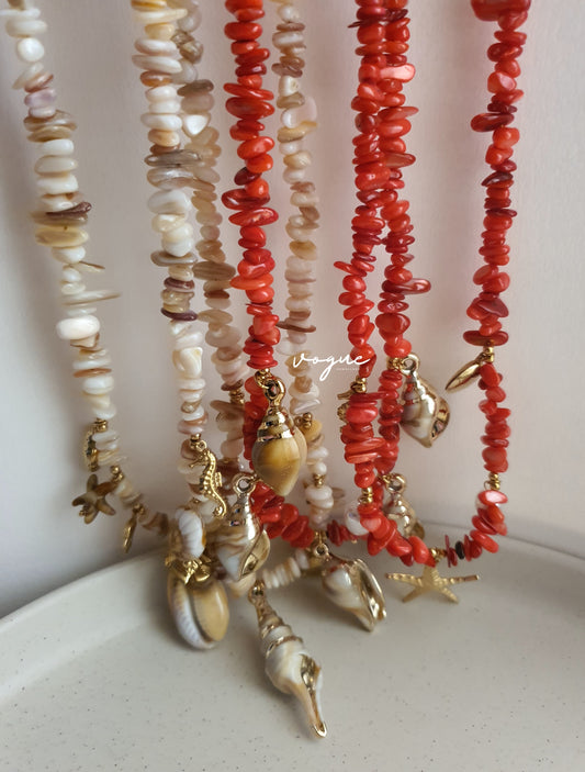 STONES & SHELLS